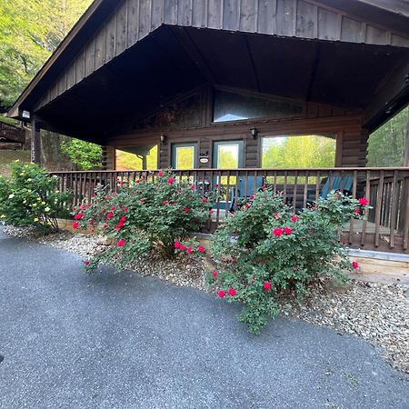 Beary Tale! Your Happily Ever After Starts Here! Sevierville Eksteriør billede