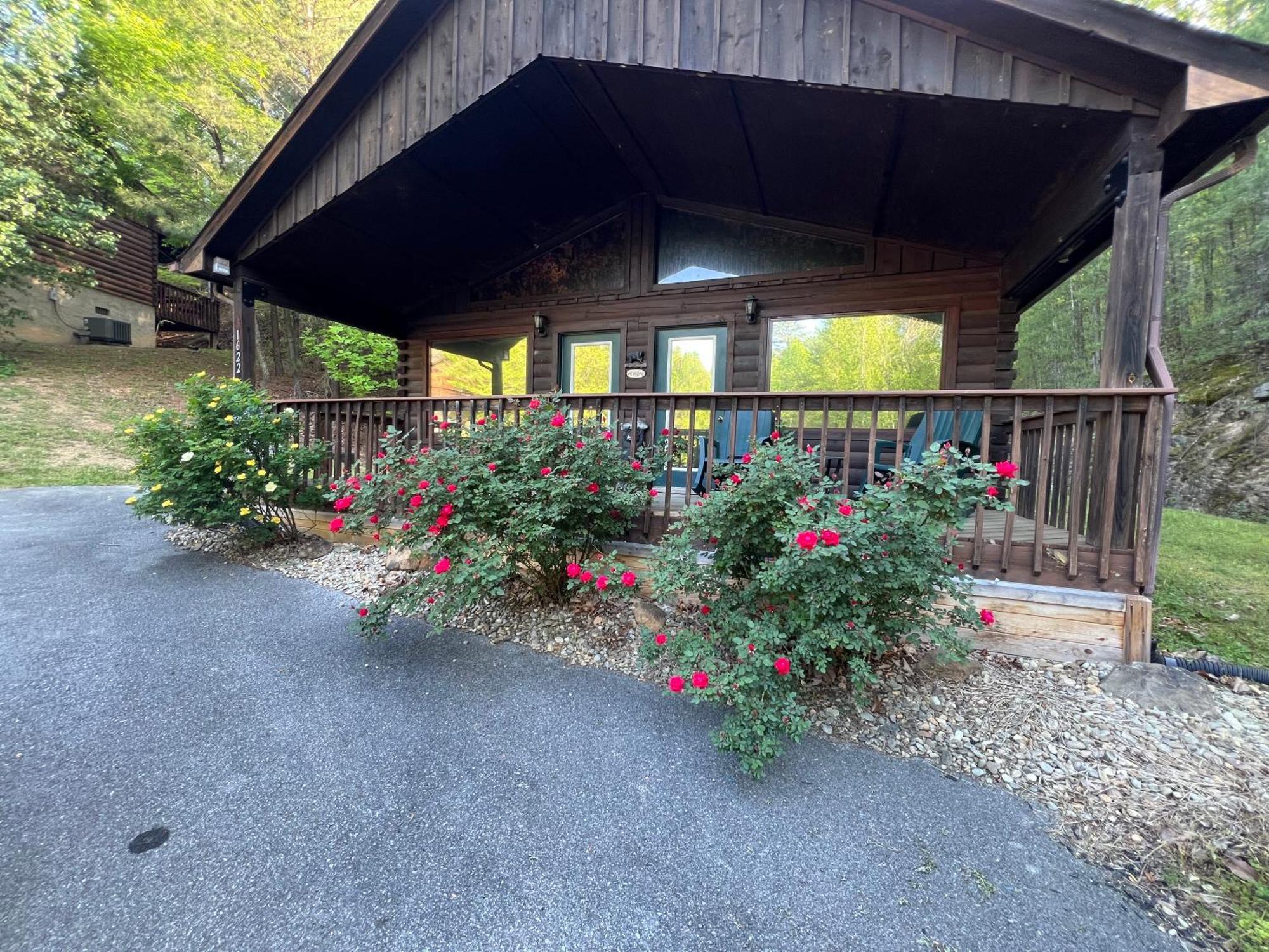 Beary Tale! Your Happily Ever After Starts Here! Sevierville Eksteriør billede